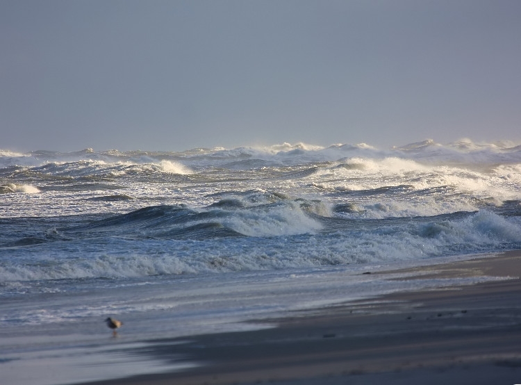 Wczasy nad morzem czyli grudzien, słońce, plaża i wiatr widziane z pokoju z widokiem na morze w OW AUGUSTYNA Jastarnia Półwysep Hel