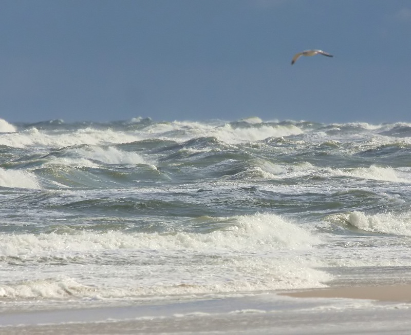 Wczasy nad morzem czyli grudzien, słońce, plaża i wiatr widziane z pokoju z widokiem na morze w OW AUGUSTYNA Jastarnia Półwysep Hel