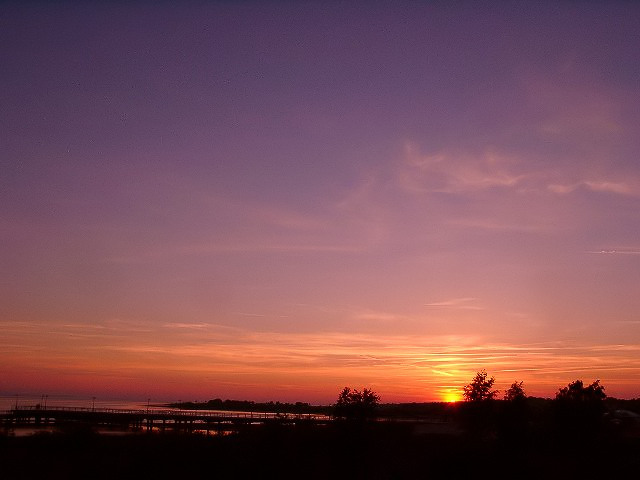 Losowe foto