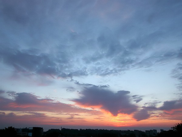 Losowe foto