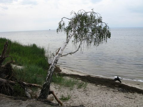 Kliknij, aby powrci na stron gwn tej galerii