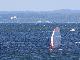 Windsurfing  w Jastarni na Półwyspie Helskim 