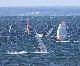 Windsurfing  w Jastarni na Półwyspie Helskim 