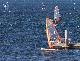 Windsurfing  w Jastarni na Półwyspie Helskim 