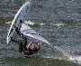Windsurfing w JASTARNI