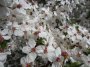 Wiosenny upał, czyli 28 kwietnia roku przestępnego 2012 w Jastarni na Półwyspie Helskim
