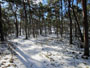 Zima już chyba nie trzyma, czyli 16.03.2013 w Jastarni na Półwyspie Helskim
