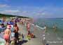 Dzień jak co dzień, czyli 15-07-2014 na plaży w Jastarni na Półwyspie Helskim