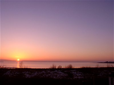 Losowe foto