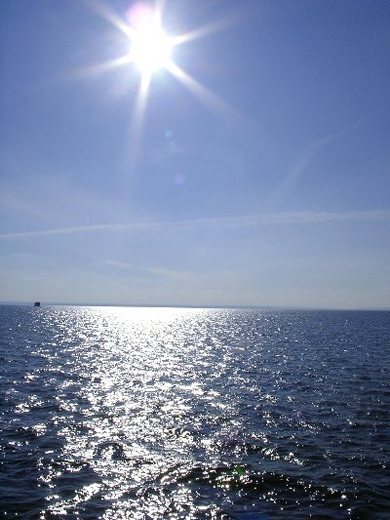Losowe foto
