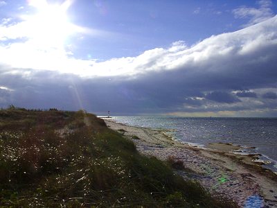 Losowe foto