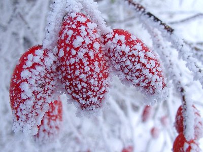 Losowe foto