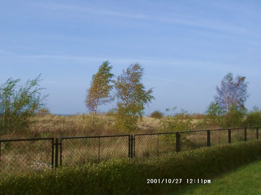 Losowe foto