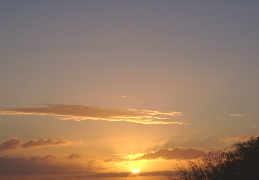Losowe foto